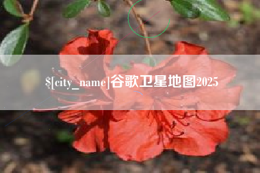 台州谷歌卫星地图2025
