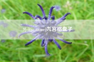 台州九宫格盘子