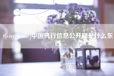 台州中国执行信息公开网是什么东西