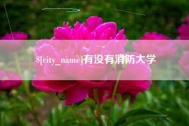 台州有没有消防大学