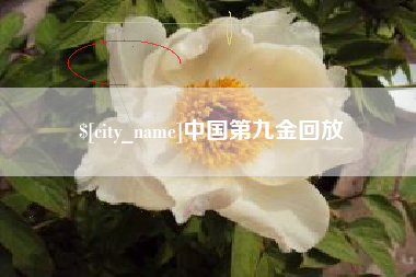 台州中国第九金回放