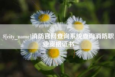 台州消防官网查询系统查询消防职业资格证书