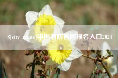 台州中国消防官网报名入口2024
