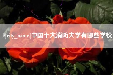 台州中国十大消防大学有哪些学校