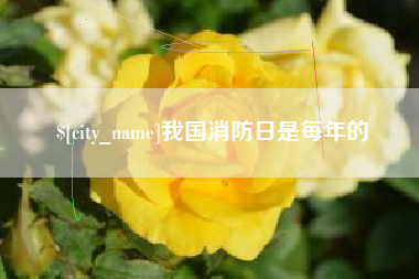 台州我国消防日是每年的