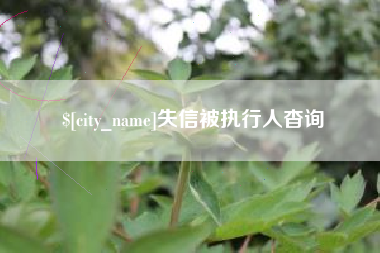 台州失信被执行人杳询