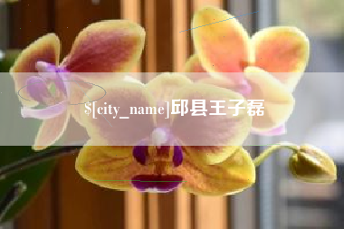 台州邱县王子磊