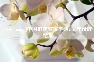 台州中国消防救援学院2020年录取结果