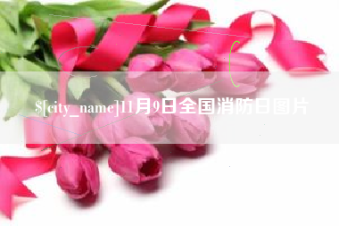 台州11月9日全国消防日图片
