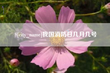 台州我国消防日几月几号