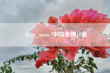台州中国金牌18金