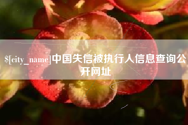 台州中国失信被执行人信息查询公开网址