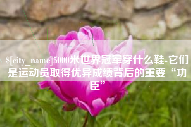 台州5000米世界冠军穿什么鞋-它们是运动员取得优异成绩背后的重要“功臣”