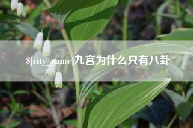 台州九宫为什么只有八卦