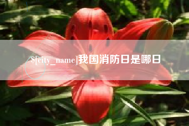 台州我国消防日是哪日
