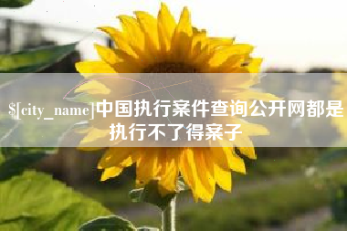 台州中国执行案件查询公开网都是执行不了得案子