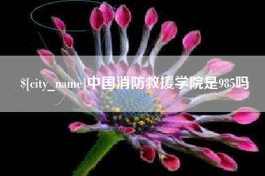 台州中国消防救援学院是985吗