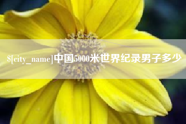 台州中国5000米世界纪录男子多少