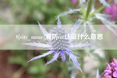 台州消防ccc认证什么意思