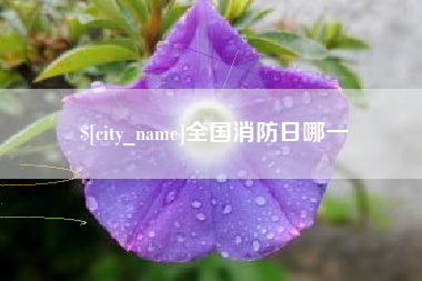 台州全国消防日哪一