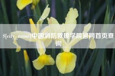 台州中国消防救援学院官网首页查询