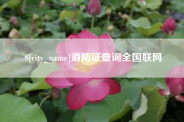 台州消防证查询全国联网
