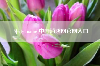 台州中国消防网官网入口