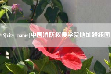 台州中国消防救援学院地址路线图