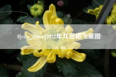 台州2022年九宫格飞星图