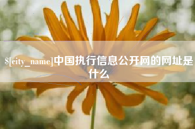 台州中国执行信息公开网的网址是什么