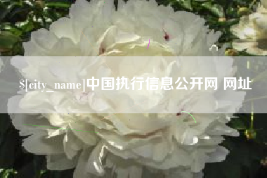 台州中国执行信息公开网 网址