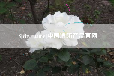 台州中国消防产品官网