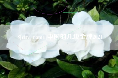 台州中国的几块金牌2021