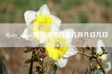 台州我国消防日是几月几日几日