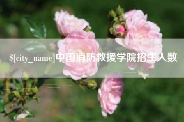 台州中国消防救援学院招生人数