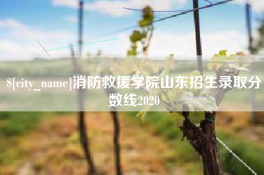 台州消防救援学院山东招生录取分数线2020