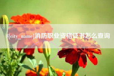 台州消防职业资格证书怎么查询