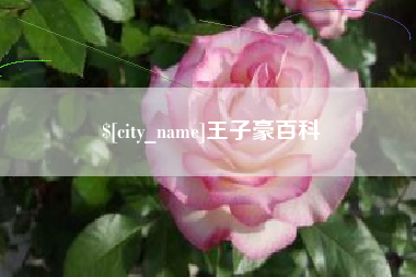 台州王子豪百科