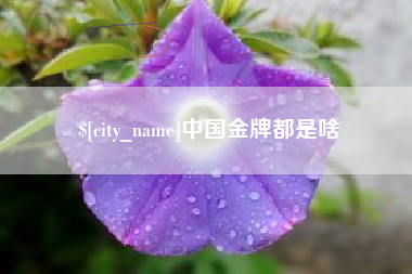 台州中国金牌都是啥