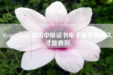 台州消防中级证书电子版查询多久才能查到