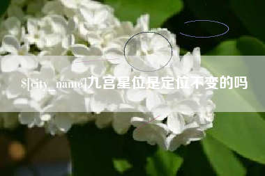 台州九宫星位是定位不变的吗