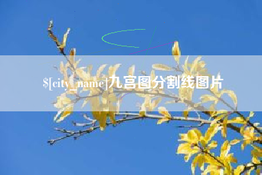 台州九宫图分割线图片