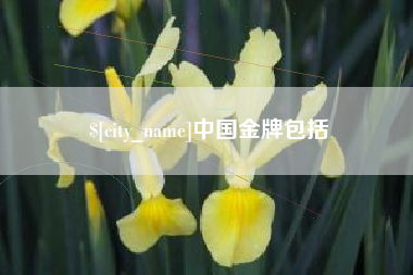 台州中国金牌包括