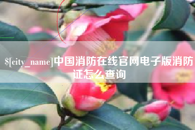 台州中国消防在线官网电子版消防证怎么查询