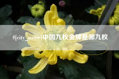 台州中国九枚金牌是哪九枚