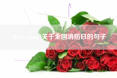 台州关于全国消防日的句子