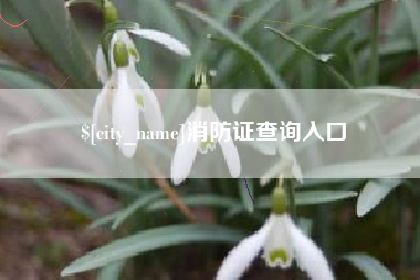 台州消防证查询入口