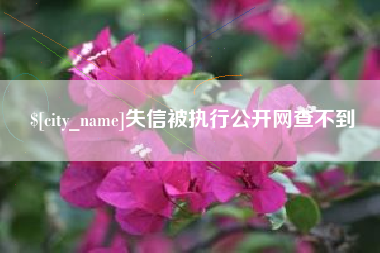 台州失信被执行公开网查不到