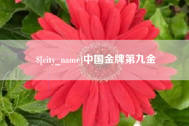 台州中国金牌第九金