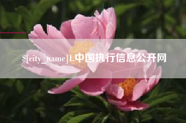 台州1.中国执行信息公开网